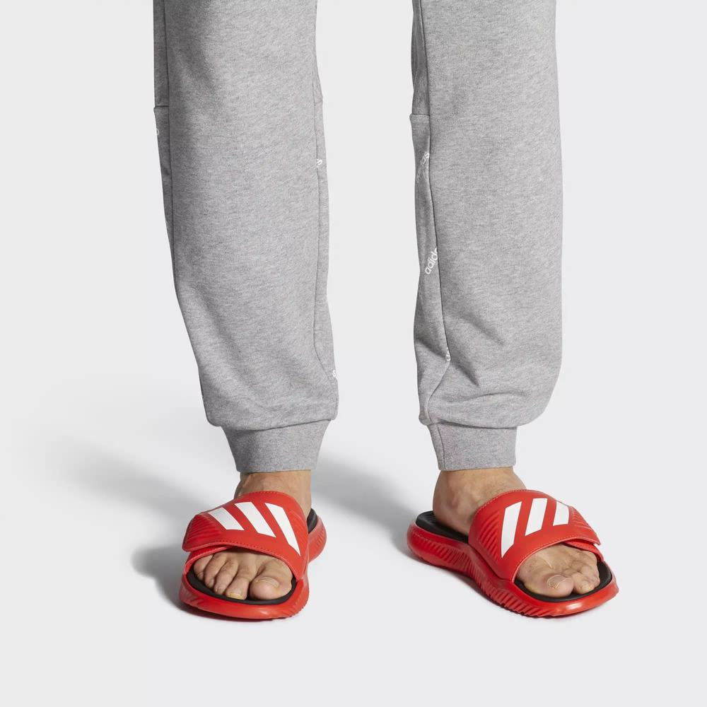 Adidas Alphabounce Chanclas Rojos Para Hombre (MX-95153)